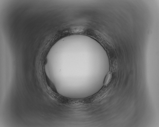 X0000111941441200907271004