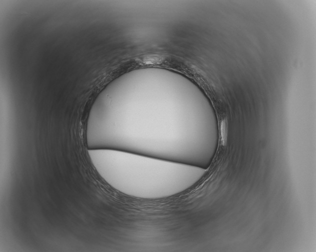 X0000111941443200907271004