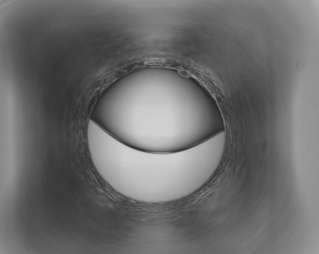 X0000111941445200907271004