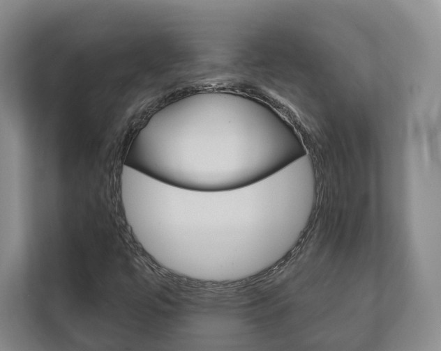 X0000111941447200907271004