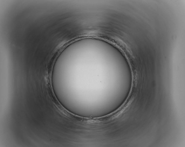 X0000111941449200907271004