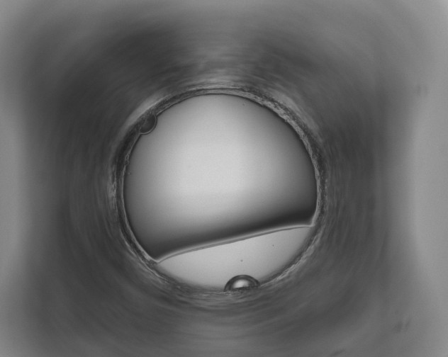 X0000111941450200907271004