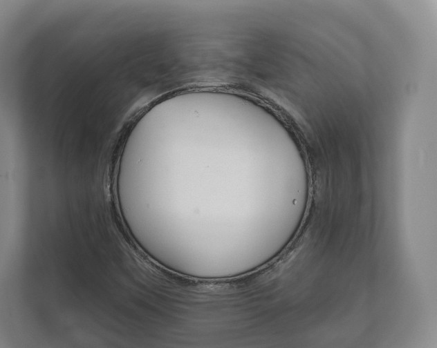 X0000111941451200907271004