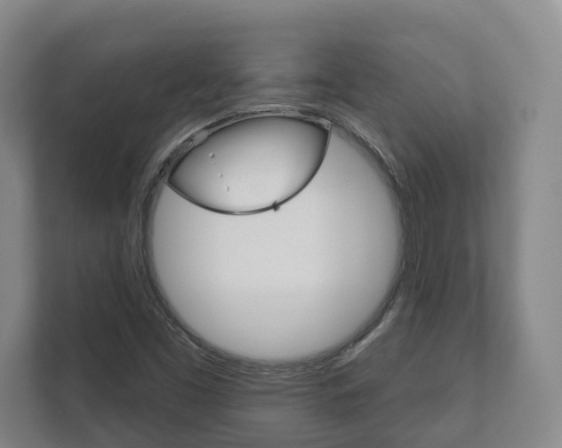 X0000111941453200907271004