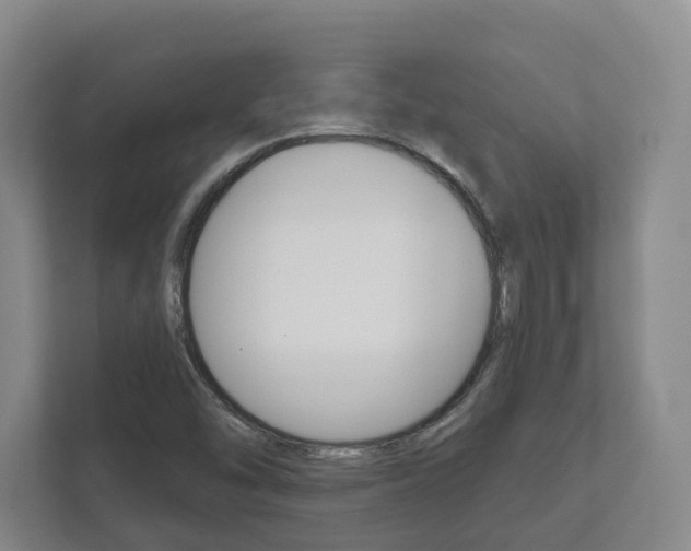 X0000111941454200907271004