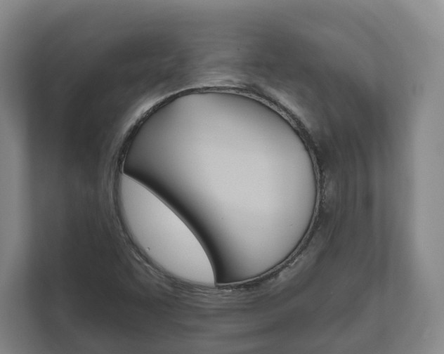 X0000111941455200907271004