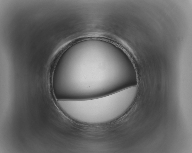 X0000111941456200907271004