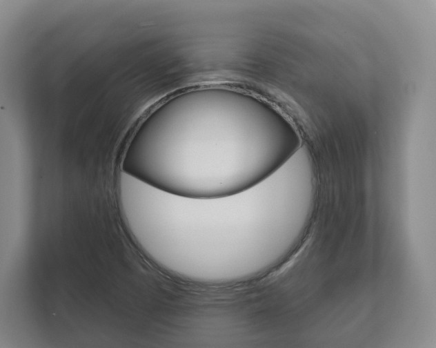 X0000111941457200907271004