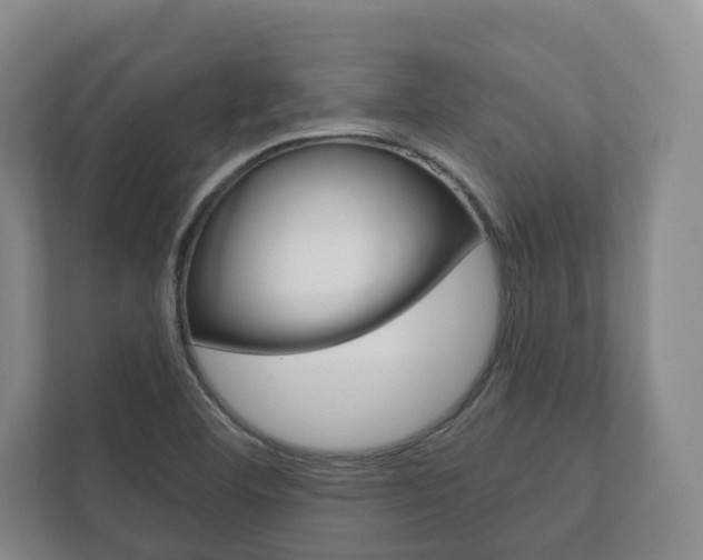 X0000111941460200907271004