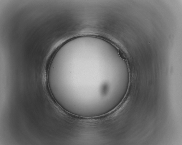 X0000111941461200907271004