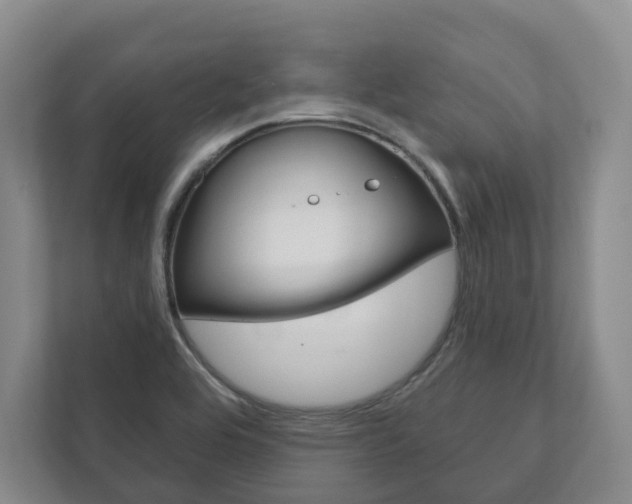 X0000111941464200907271004