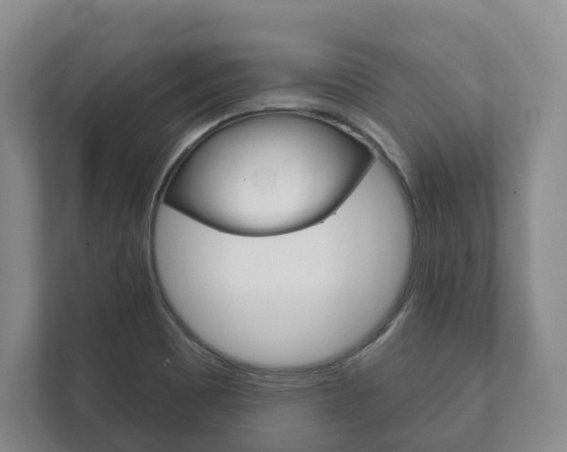 X0000111941465200907271004