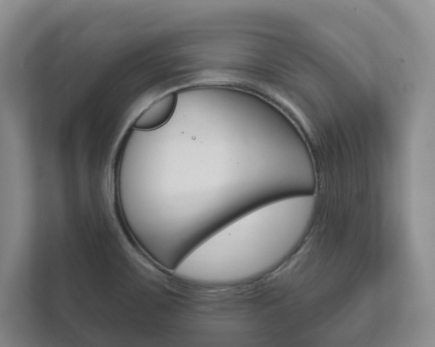 X0000111941467200907271004