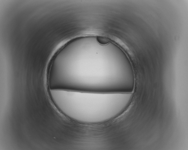X0000111941469200907271004