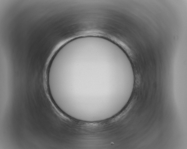 X0000111941470200907271004