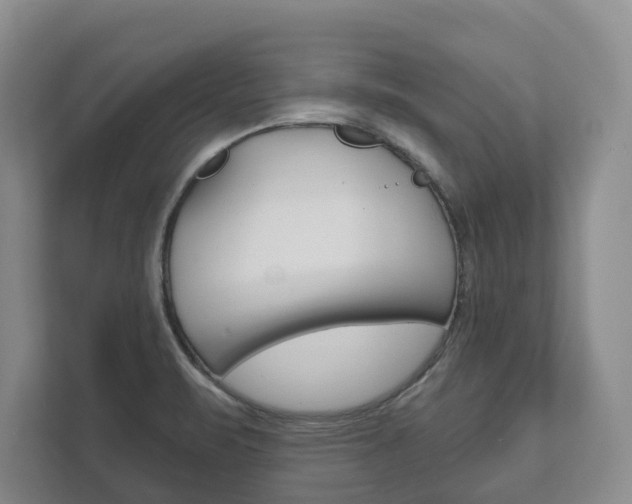 X0000111941471200907271004