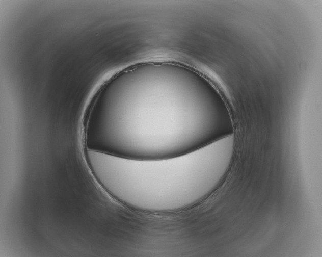 X0000111941472200907271004