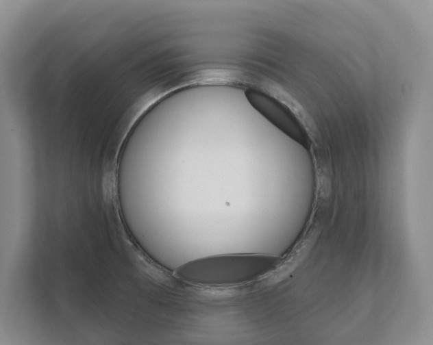 X0000111941473200907271004
