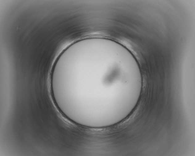 X0000111941474200907271004
