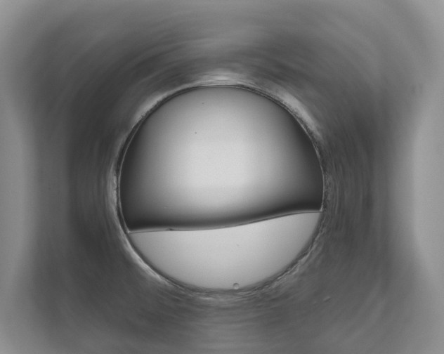 X0000111941476200907271004