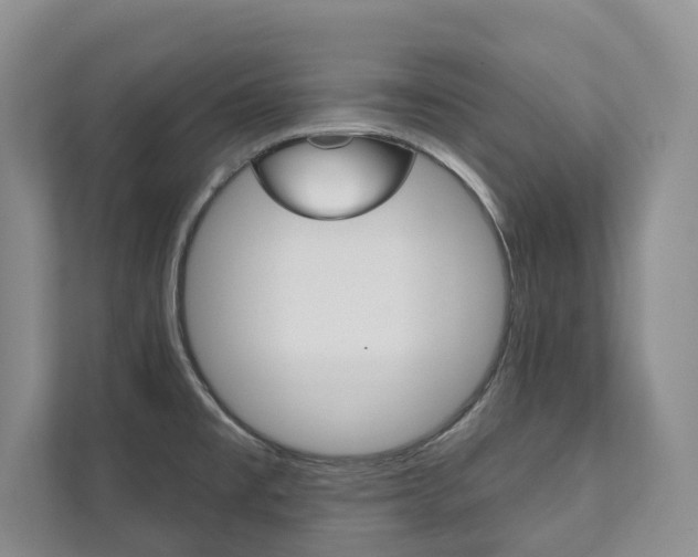 X0000111941477200907271004