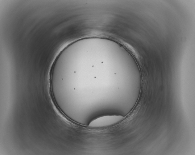X0000111941479200907271004