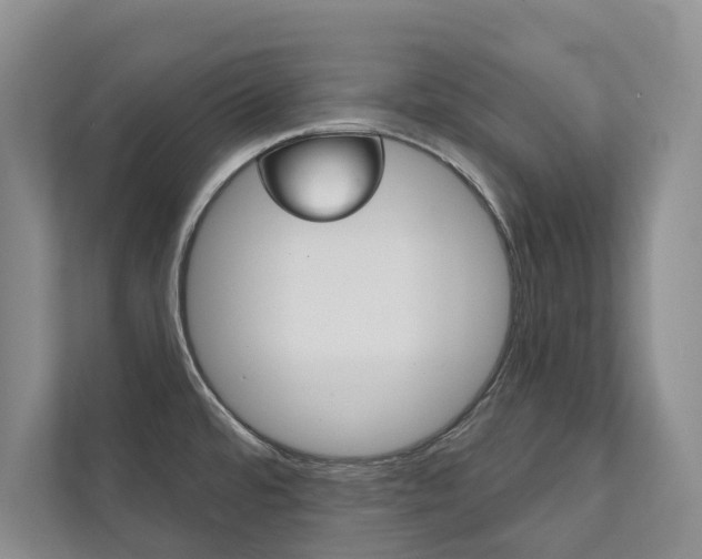 X0000111941480200907271004