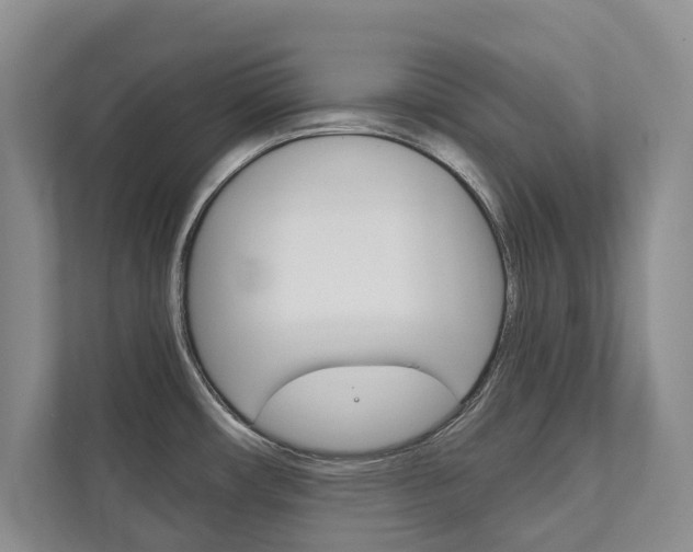 X0000111941482200907271004