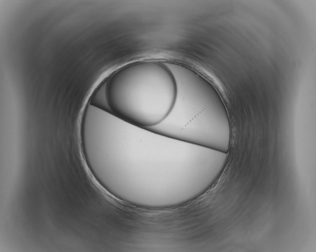 X0000111941483200907271004