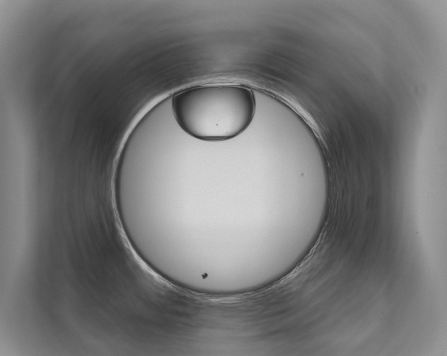 X0000111941484200907271004