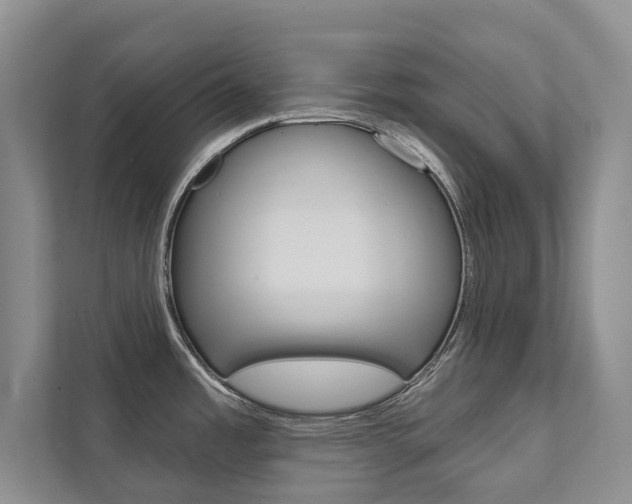 X0000111941485200907271004