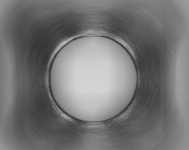 X0000111941486200907271004