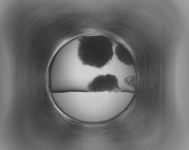 X0000111941487200907271004