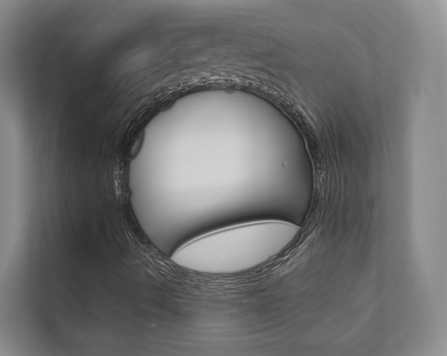 X0000111941490200907271003