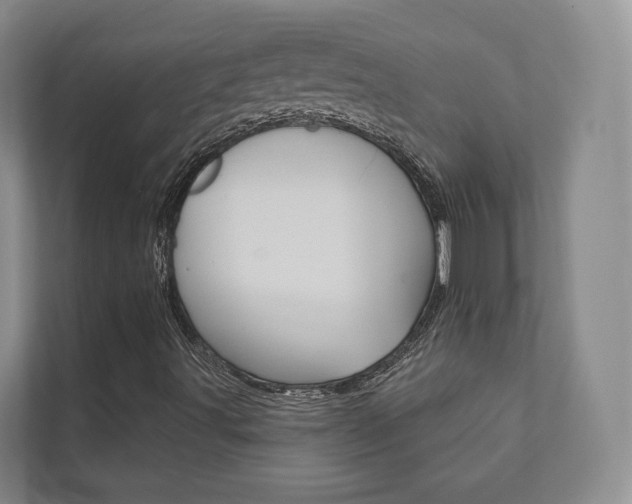 X0000111941491200907271003