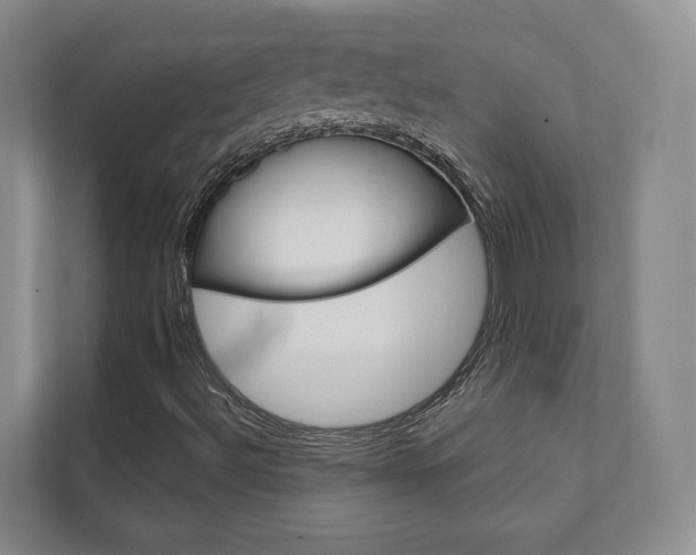 X0000111941492200907271003