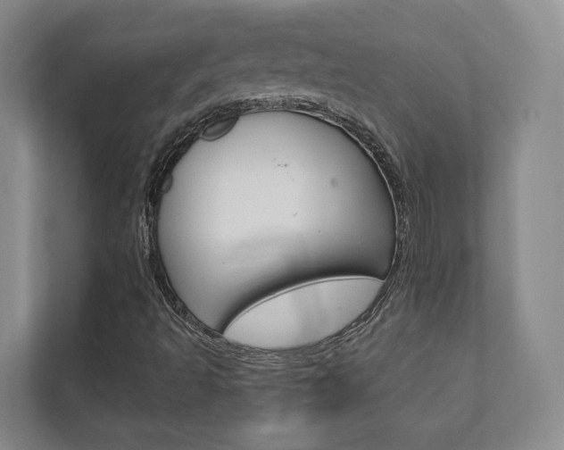 X0000111941493200907271003