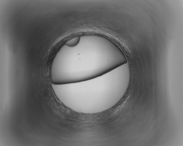 X0000111941494200907271003