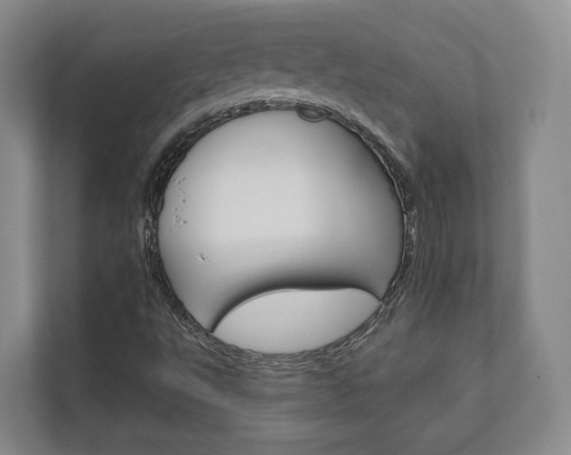 X0000111941495200907271003
