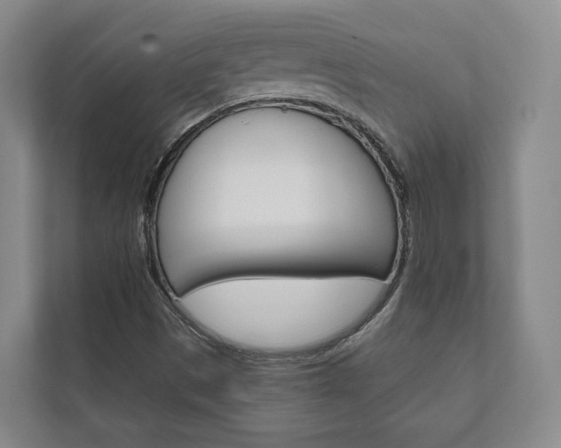X0000111941497200907271003