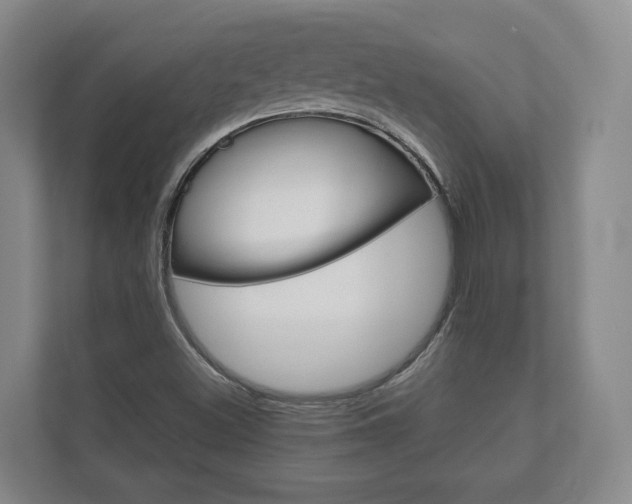 X0000111941500200907271003