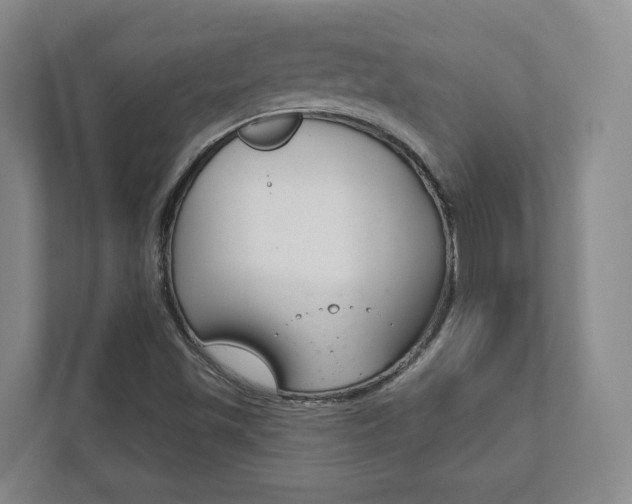 X0000111941501200907271003