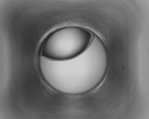 X0000111941502200907271003