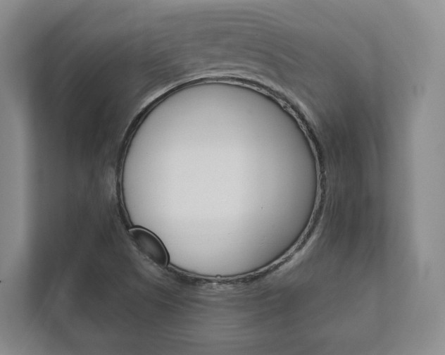 X0000111941505200907271003
