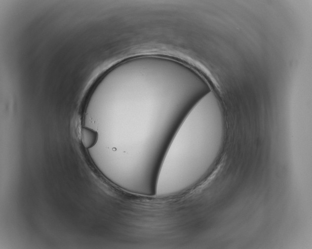 X0000111941509200907271004