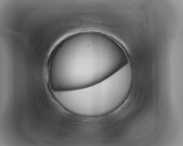 X0000111941510200907271004
