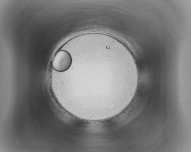 X0000111941514200907271004