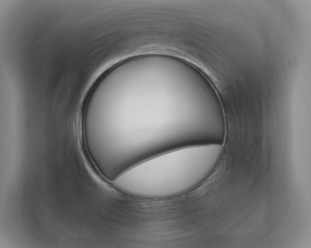 X0000111941515200907271004