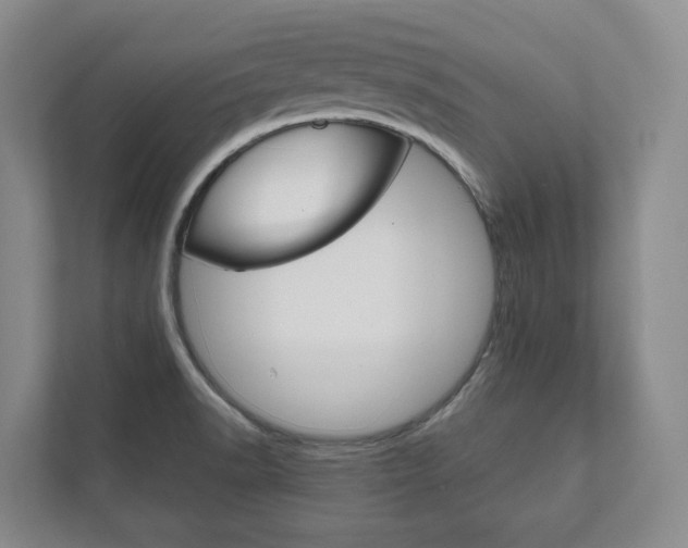 X0000111941518200907271004