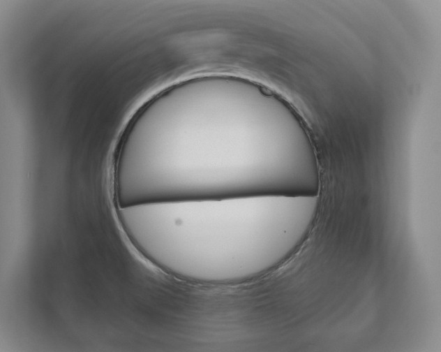 X0000111941519200907271004